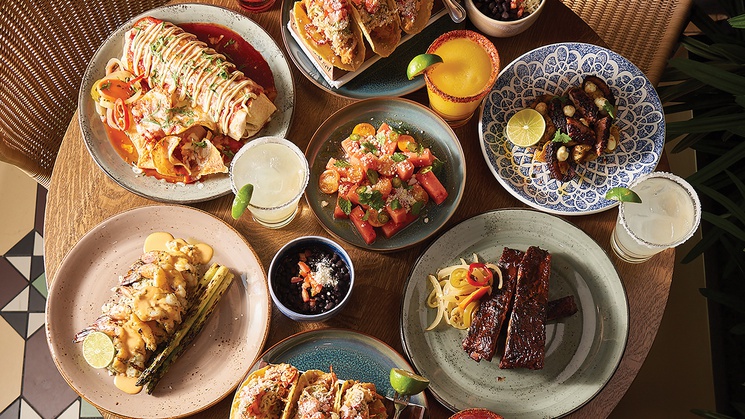 Popular restaurant company brings everything from French cuisine to Italian food to the table.