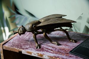 Click to enlarge photo