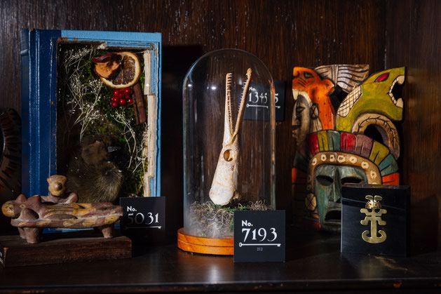 Oddities at The Cabinet of Curiosities