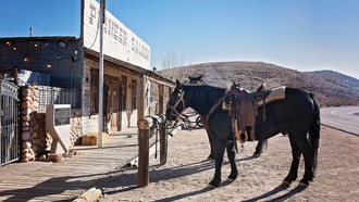 Fallout Fan Celebration is two full days of geeking out on video game, 'Fallout: New ...