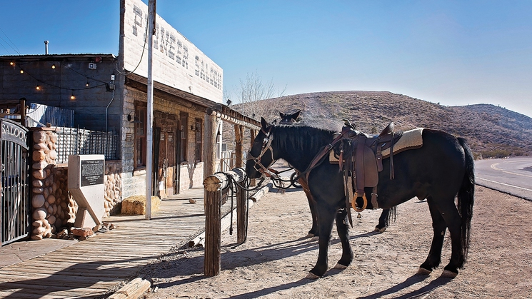 Fans of the video game 'Fallout: New Vegas' will definitely want to check out the Fallout Fan Celebration Nov. 16-17 at Pioneer Saloon in Goodsprings, Nev.