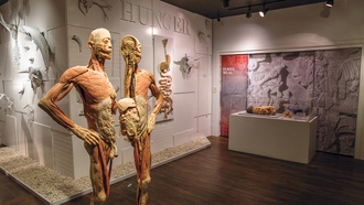 The fascinating attraction on the Strip explores the physical nature of the human condition.