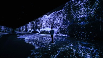 Take an immersive journey through this interactive world of moving art.
