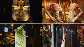Explore immersive worlds ranging from ancient Egypt to the inner workings of the human body