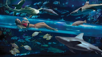 ‘Las Vegas Magazine’ publisher Katie Dixon helps you plan the perfect week!