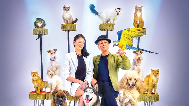 'Popovich Comedy Pet Theater' at Miracle MIle Shops at Planet Hollywood in Las Vegas