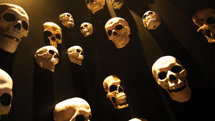 The Day of the Dead and Halloween spaces are guaranteed to give you a memorable ...