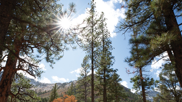 Mount Charleston is just one of the ways to explore the great outdoors while visiting Las Vegas