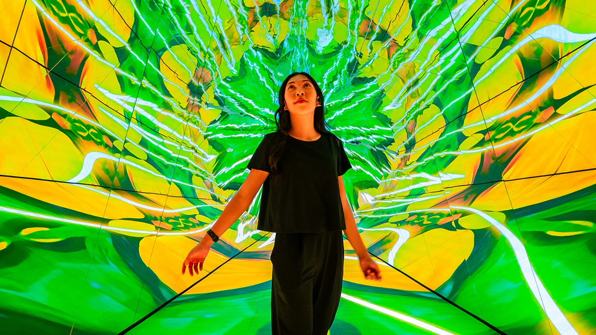 7 Days: Your guide to Las Vegas (Nov. 9-15)