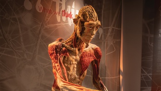 ‘Las Vegas Magazine’ publisher Katie Dixon helps you plan the perfect week!