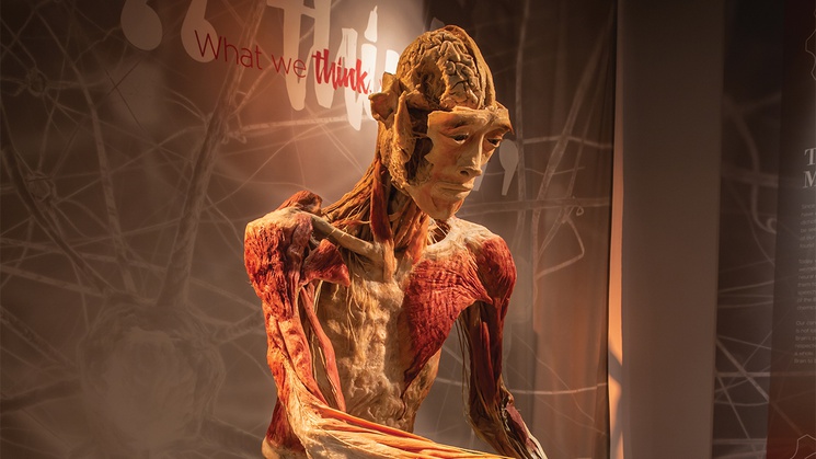 ‘Las Vegas Magazine’ publisher Katie Dixon helps you plan the perfect week!