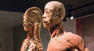 The attraction has plenty of installations that offer food for thought.