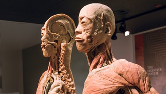 The attraction has plenty of installations that offer food for thought.