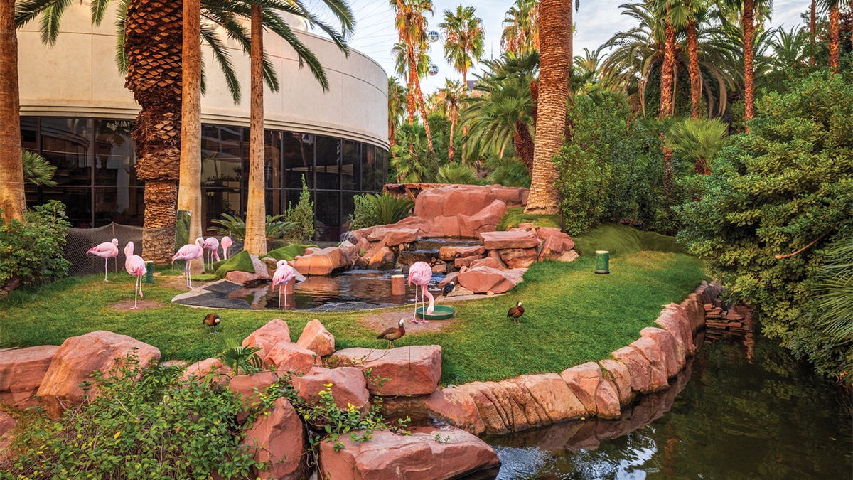There’s a Wildlife Habitat on the Las Vegas Strip!