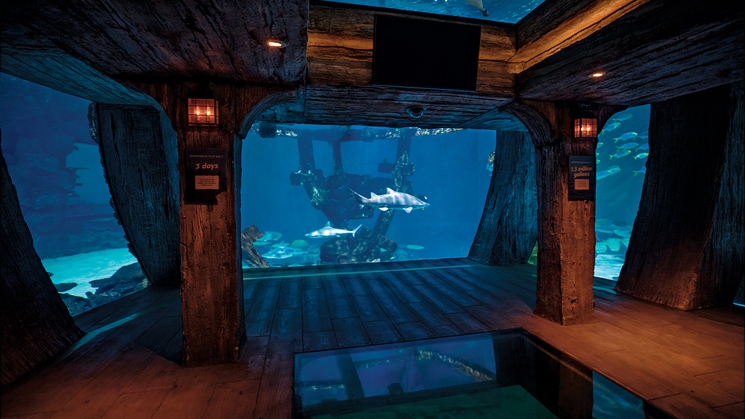 Shark Reef Aquarium at Mandalay in Las Vegas is home to more than 2,000 animals