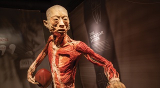 ‘Las Vegas Magazine’ publisher Katie Dixon helps you plan the perfect week!