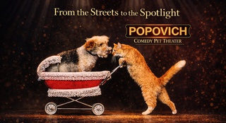 Featuring over 30 rescued animals, Popovich Comedy Pet Theater blends comedy, cirque meets vaudeville style acts, and heartwarming pets—fun for all ages. 
