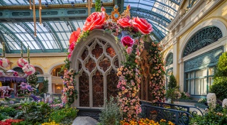 ‘Las Vegas Magazine’ publisher Katie Dixon helps you plan the perfect week!