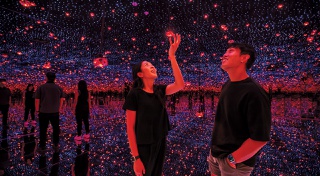 From shows to attractions to dining, there’s no end to the fun to be had this week.