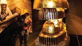 Explore one of the world's most famous archeological sites in this unique attraction at Luxor.