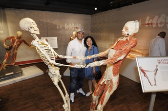 ELITE Real Bodies and Cabinet of Curiosities